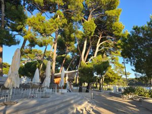 Pine Trees and a Mild Climate in Lošinj: An Island Escape for Wellbeing